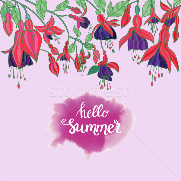 Flowers fuchsia on pink background and hello summer lettering Stock photo © Margolana