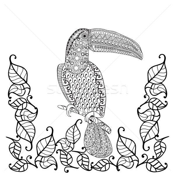 Vector Toucan bird illustrtion Stock photo © Margolana