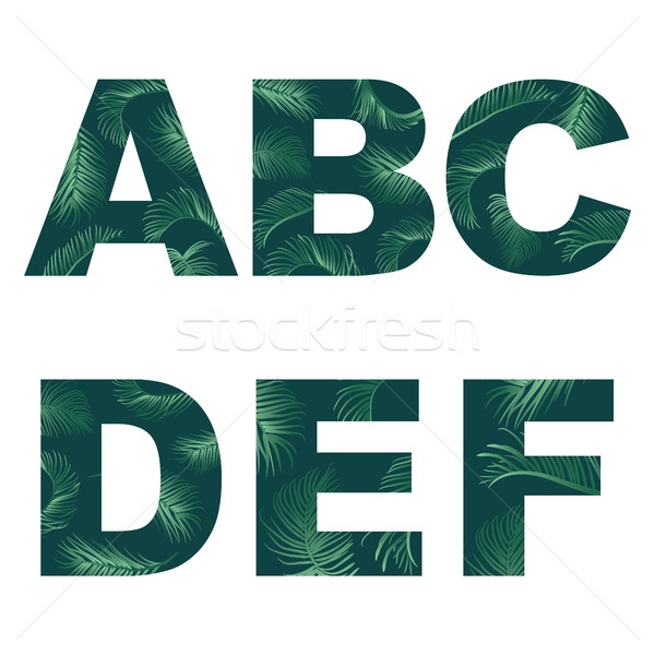 alphabet decorative fonts covered palm leaves pattern. Stock photo © Margolana