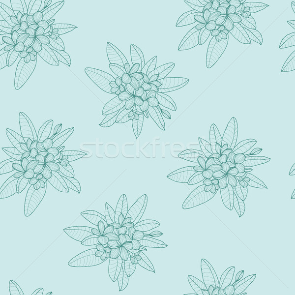 Pattern of floral  Hawaii flower Frangipani and leaves, Plumeria Stock photo © Margolana