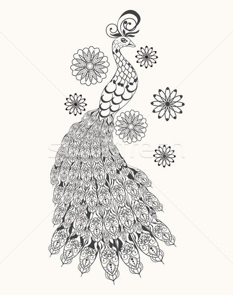 Peacock for anti stress Coloring Page Stock photo © Margolana