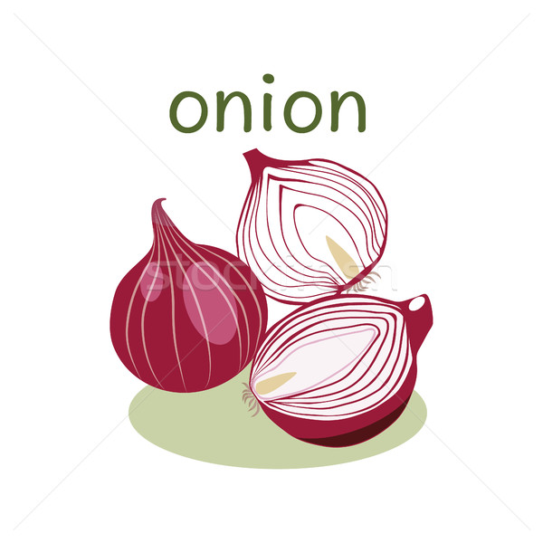 Red Onion Isolated object in flat style.  Stock photo © Margolana