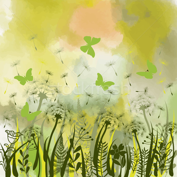 background with green grass, wild herbs,dandelions and butterfli Stock photo © Margolana