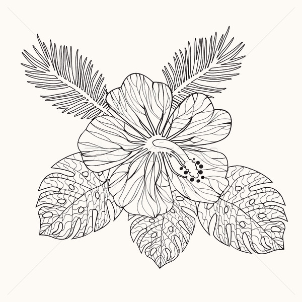 Vector Hibiscus Flower And Leaves Vector Illustration
