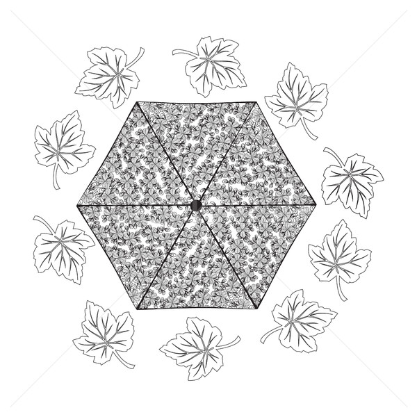 An Umbrella and Leaves in doodle style.  Stock photo © Margolana