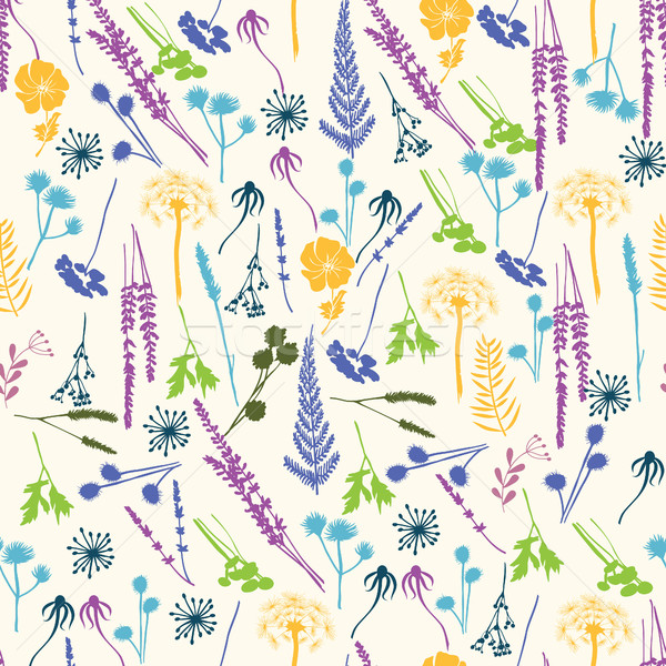 Vector floral seamless pattern with wild flowers Stock photo © Margolana