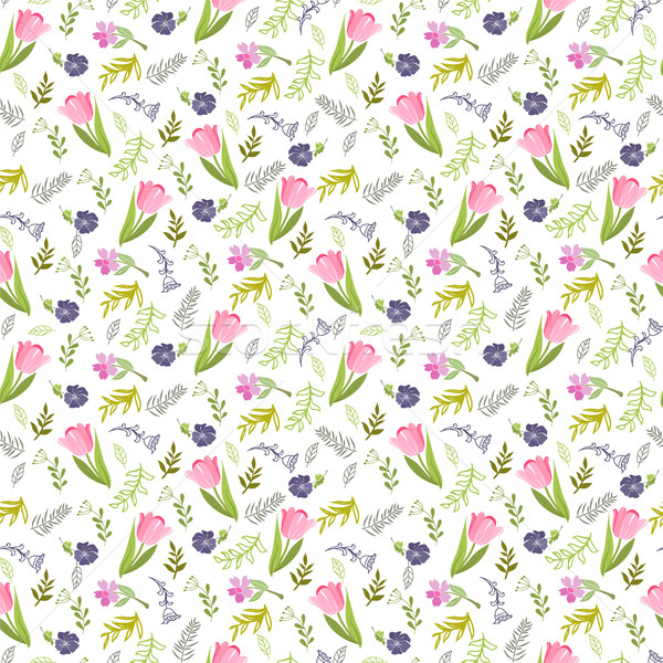 Foto stock: Elegante · tulipanes · flores · silvestres · verano · color