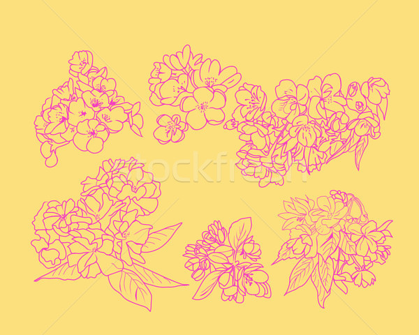 Croquis ligne art cerisiers en fleurs fleurs [[stock_photo]] © Margolana