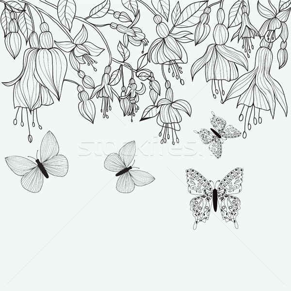 Hand drawn texture with Fuchsia flowers and butterflies.  Stock photo © Margolana