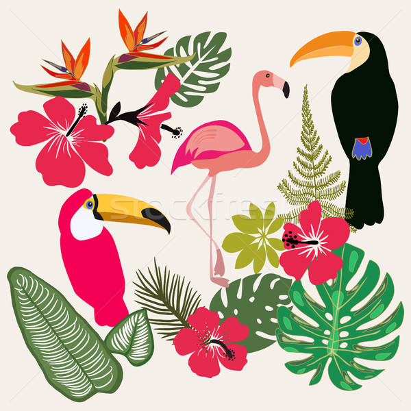 Set Sommer tropischen Grafik Elemente Flamingo Stock foto © Margolana