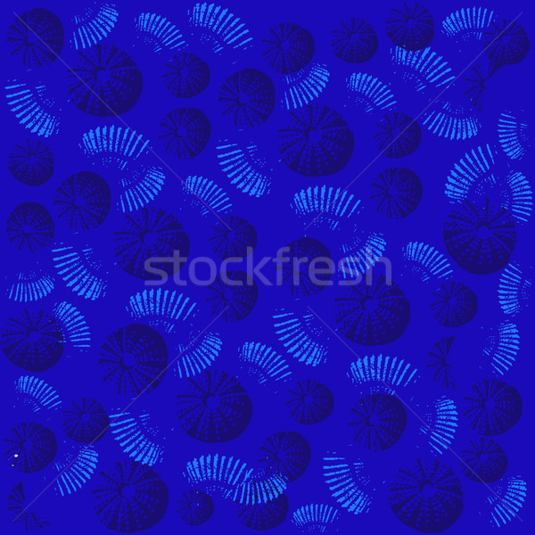 Tenger kagylók nyár terv rajz művészet Stock fotó © Margolana
