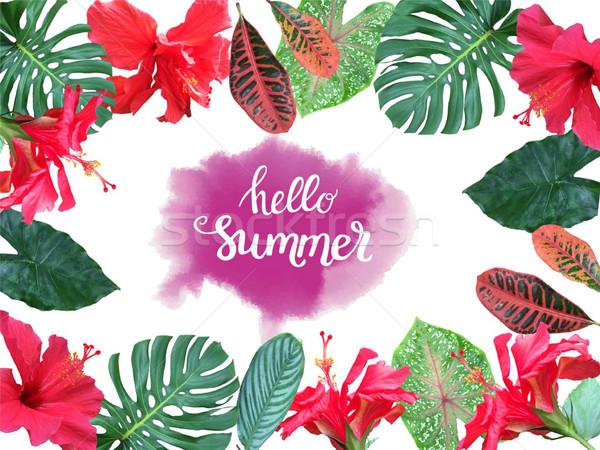 summer tropical background with exotic floral and leaves and tex Stock photo © Margolana