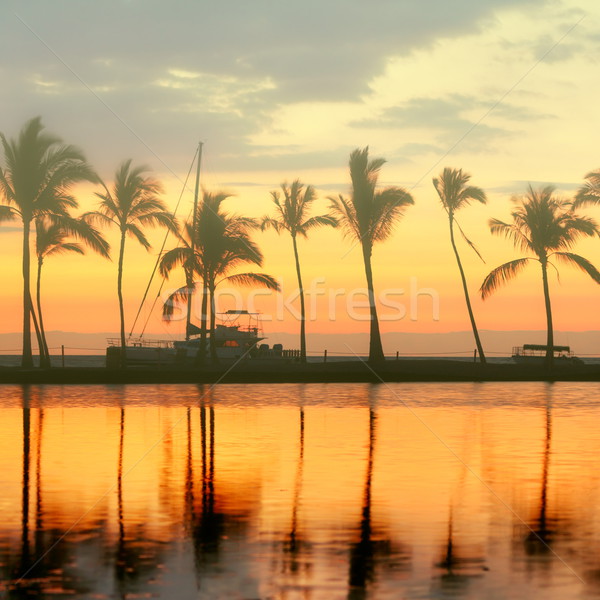 Tropical paradis plajă apus palmieri vară Imagine de stoc © Maridav