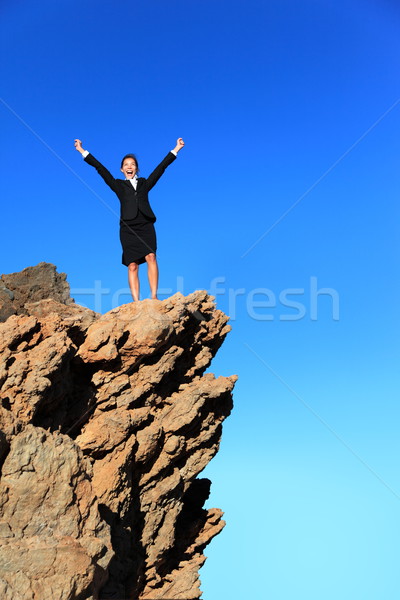 Business success concept Stock photo © Maridav