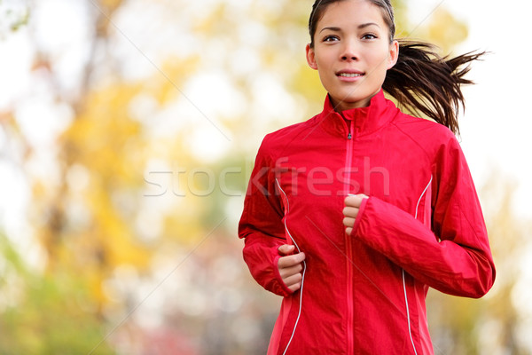 Frau Läufer läuft Herbst Wald jungen Stock foto © Maridav