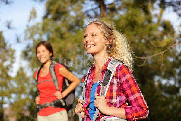 ストックフォト: アクティブ · 女性 · ハイキング · 女の子 · 徒歩 · 森林