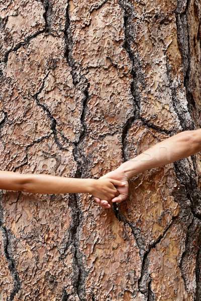 Nature Earth lovers - tree huggers holding hands Stock photo © Maridav