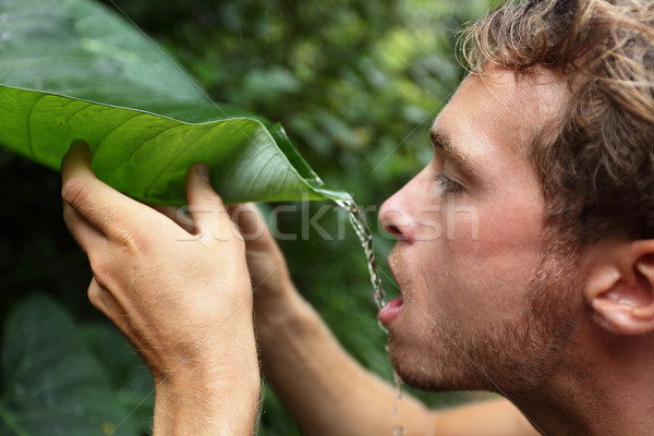 Stock photo: Survival - man drinking from leaf in jungle