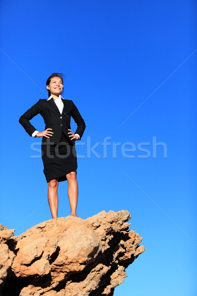 Success and challenges - business concept Stock photo © Maridav