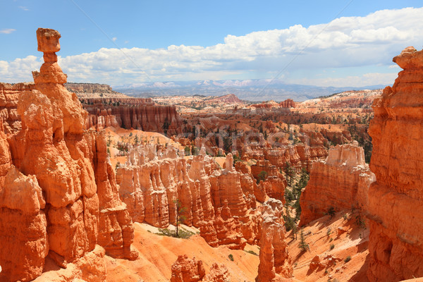 Kanion parku krajobraz Utah USA Stany Zjednoczone Zdjęcia stock © Maridav