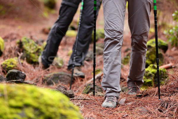 Wandelen wandelaars lopen bos pad parcours Stockfoto © Maridav