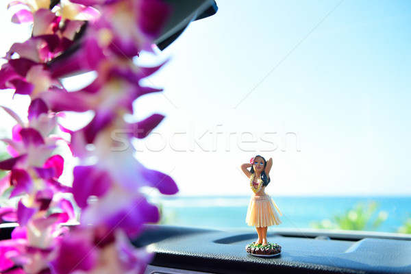 Hawaii călători maşină fată Dansuri tablou de bord Imagine de stoc © Maridav