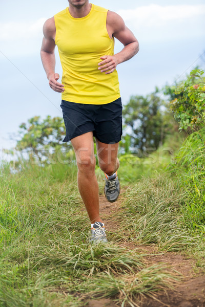 Sportlich Läufer Mann Weg läuft Natur Stock foto © Maridav