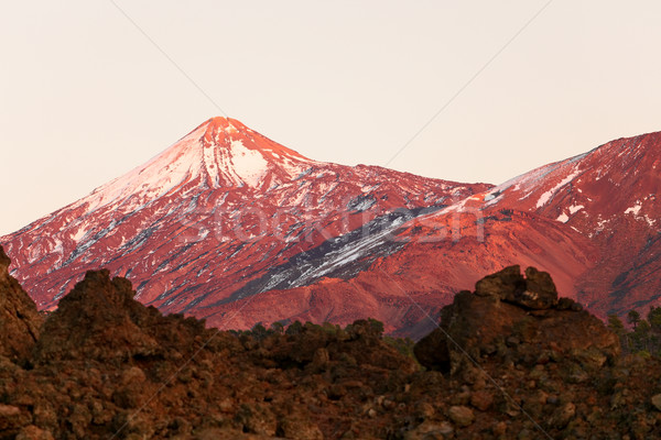 Tenerife vulkán tájkép gyönyörű természet díszlet Stock fotó © Maridav