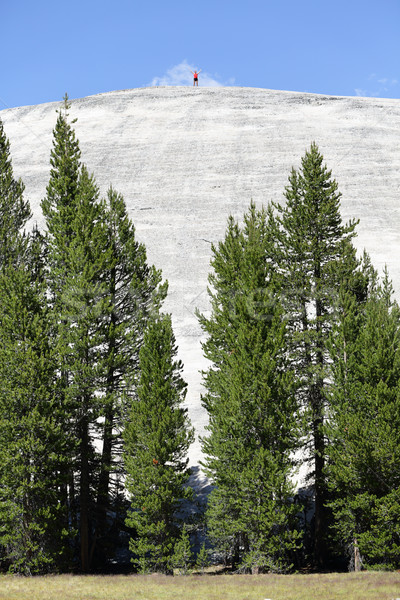 Hero man reaching summit on top of mountain Stock photo © Maridav