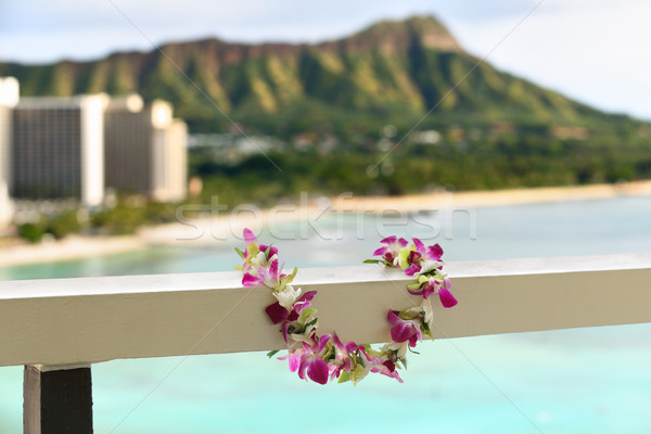 Havaí waikiki viajar flor colar ícone Foto stock © Maridav