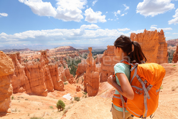 Randonneur canyon randonnée femme regarder Photo stock © Maridav