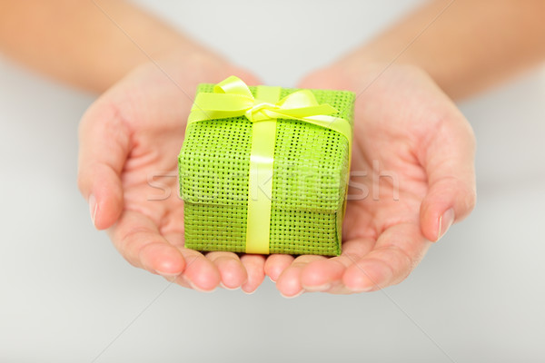 Colourful green gift in cupped hands Stock photo © Maridav