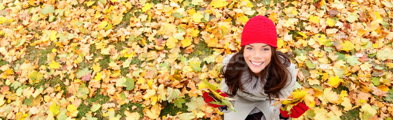 Jesienią spadek banner tekstury kobieta pozostawia Zdjęcia stock © Maridav