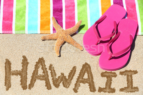 Hawaii beach travel Stock photo © Maridav