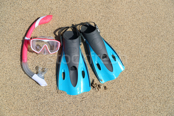 Playa vacaciones esnórquel máscara diversión Foto stock © Maridav