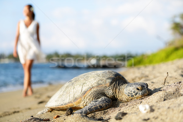 Turtle on beach, walking woman, Big Island, Hawaii Stock photo © Maridav