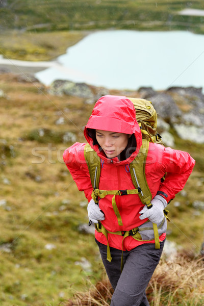 Hiking - hiker woman on trek with backpack in rain Stock photo © Maridav