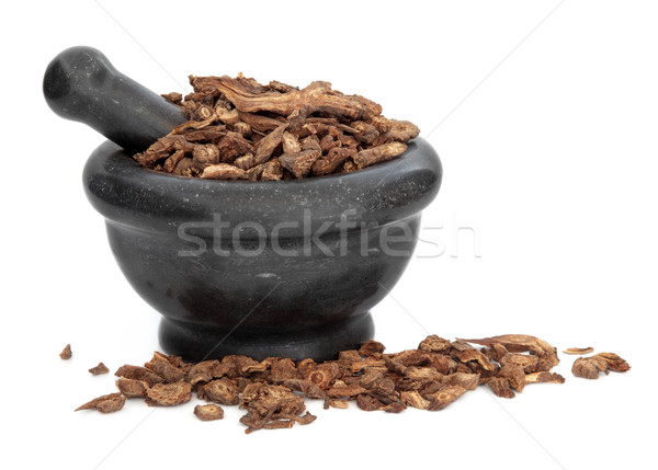 Notopterygium Root Herb Stock photo © marilyna