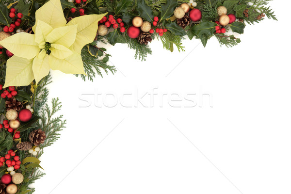 Stock photo: Poinsettia Flower Border