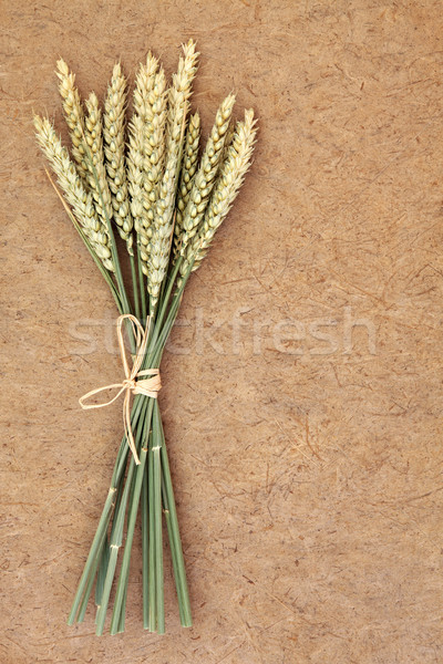 Wheat Bundle  Stock photo © marilyna