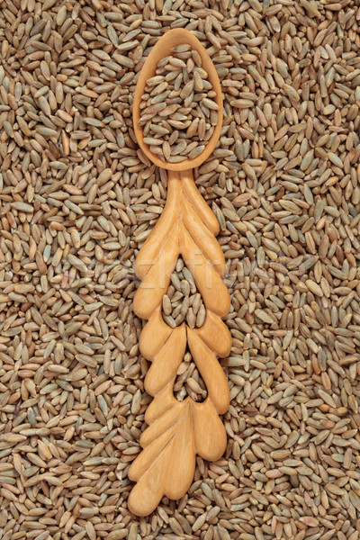Centeio trigo grão ouvido Foto stock © marilyna