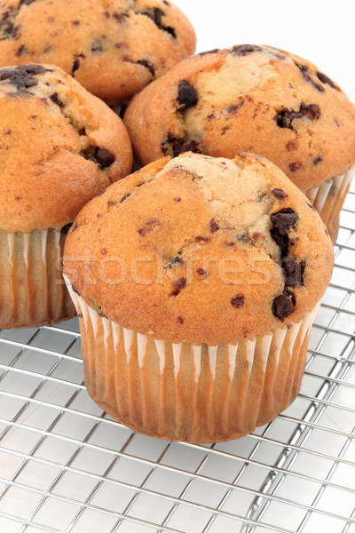 Chocolate Chip Muffins Stock photo © marilyna