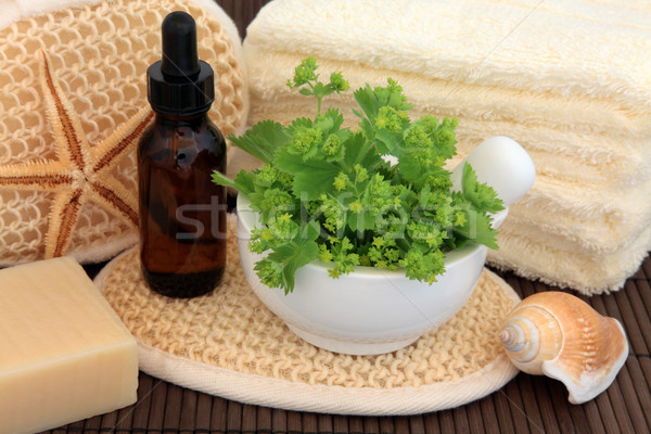 Herbal Spa Treatment Stock photo © marilyna