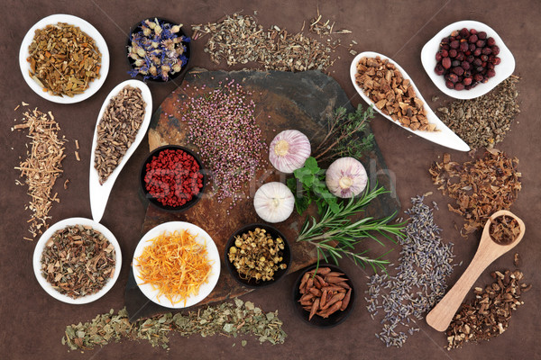 Medicinal and Magical Herbs Stock photo © marilyna