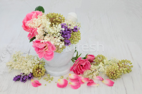 Flowers and Herb Natural Medicine Stock photo © marilyna