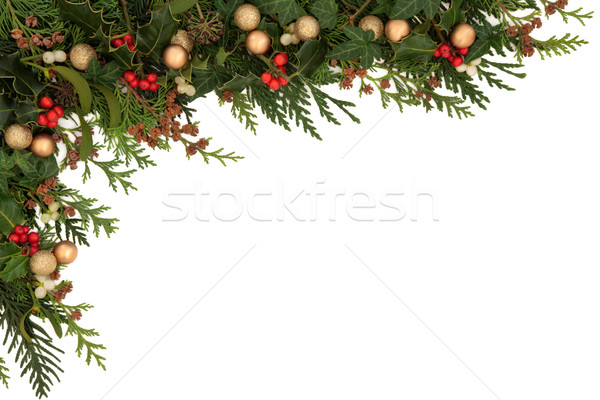 Сток-фото: границе · Рождества · сезонный · плющ · омела · белая