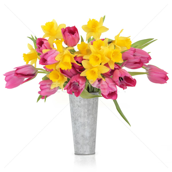 Сток-фото: весенний · цветок · красоту · Tulip · Daffodil · цветы · алюминий
