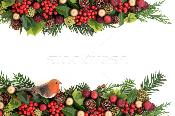 クリスマス 国境 フローラ 装飾 装飾的な フローラル ストックフォト © marilyna