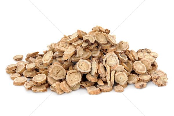 Astragalus Root Stock photo © marilyna