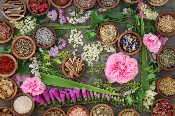 Stok fotoğraf: Doğal · alternatif · tıp · büyük · kurutulmuş · taze · ot